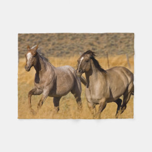 Landleben auf der Ponderosa Ranch Fleecedecke