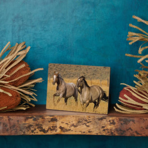 Landleben auf der Ponderosa Ranch Fotoplatte
