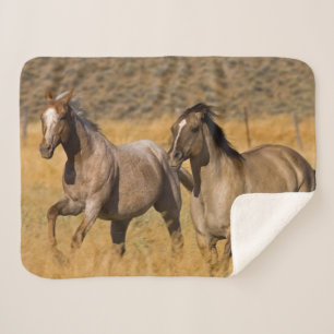 Landleben auf der Ponderosa Ranch Sherpadecke