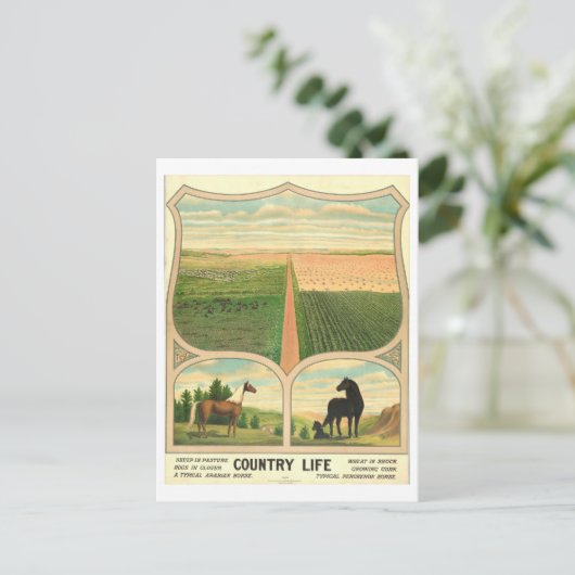 Landleben Vintager Lithographie Postkarte (Stehend Vorderseite)