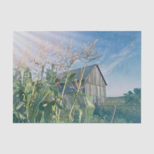 Ländlich-rustikale Scheune, blauer Himmel, Sonnens Seidenpapier