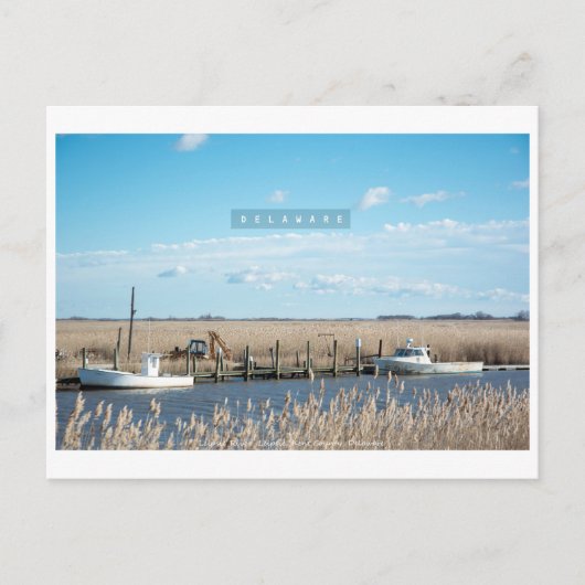 Ländlich und wild Delaware. Postkarte (Vorderseite)