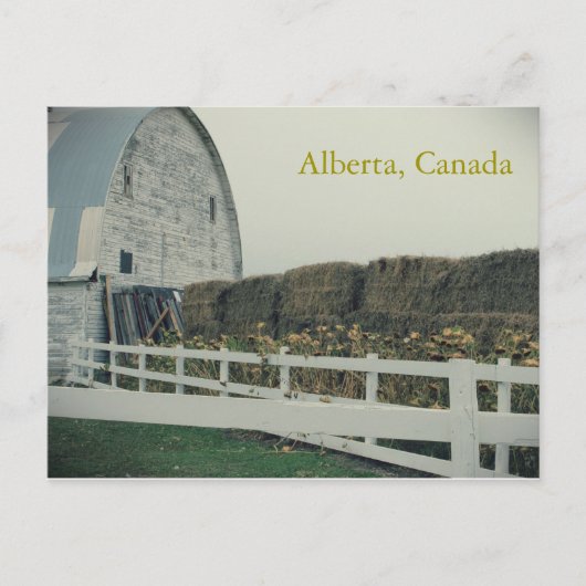Ländliche Alberta-Ansichtskarte Postkarte (Vorderseite)