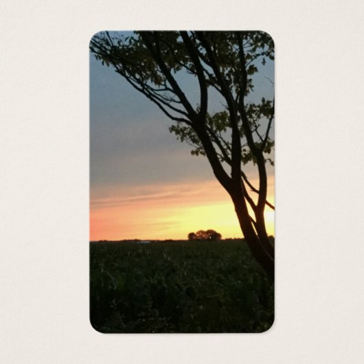 Ländliche Felder Sunset (Vorderseite)