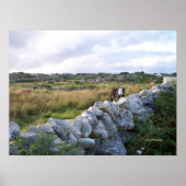 Ländliche Irland Poster (Vorne)