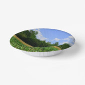 Ländliche Landschaft eines Mais- und Weizenfeldes  Pappteller (Gewinkelt)