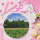 Ländliche Landschaft eines Mais- und Weizenfeldes Pappteller (Party)