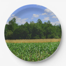 Ländliche Landschaft eines Mais- und Weizenfeldes  Pappteller