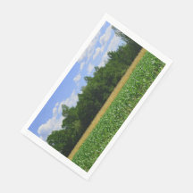 Ländliche Landschaft eines Mais- und Weizenfeldes 