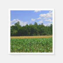 Ländliche Landschaft eines Mais- und Weizenfeldes 