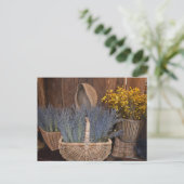 Ländliche Lavendelernte Postkarte (Stehend Vorderseite)