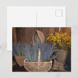 Ländliche Lavendelernte Postkarte