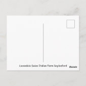 Ländliche Lavendelernte Postkarte (Rückseite)