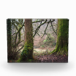 Ländliche Magie Fotoblock