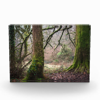 Ländliche Magie Fotoblock