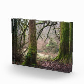 Ländliche Magie Fotoblock (Rechts)