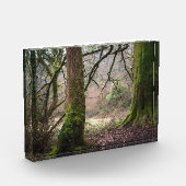 Ländliche Magie Fotoblock (Links)