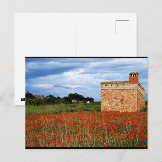 Ländliche Scheune in einem blumigen Mohnfeld Postkarte (Vorne/Hinten)