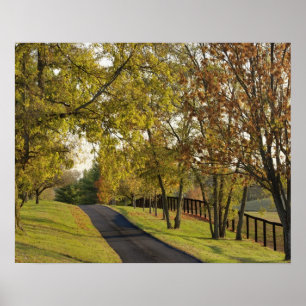Ländliche Straße durch die Bluegrass-Region von Ke Poster