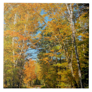 Ländliche Straße Herbstfarben New Hampshire Fliese