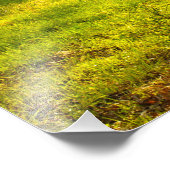 Ländliche Tennessee Frühlingsstimmung Fotodruck (Ecke)