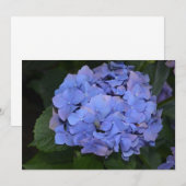 Ländliche Violette Hydrangea macrophylla Einladung (Vorne/Hinten)