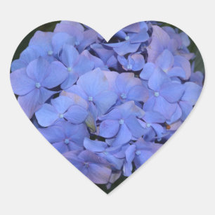 Ländliche Violette Hydrangea macrophylla Herz-Aufkleber