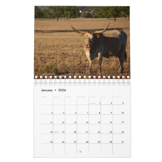 Ländlicher Kalender (Jan 2026)