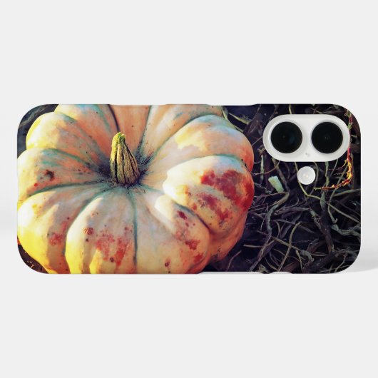 Ländlicher Kürbis Case-Mate iPhone Hülle (Rückseite (Horizontal))