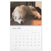 Ländlicher Lebenszyklus 2023 Kalender (Jan 2027)