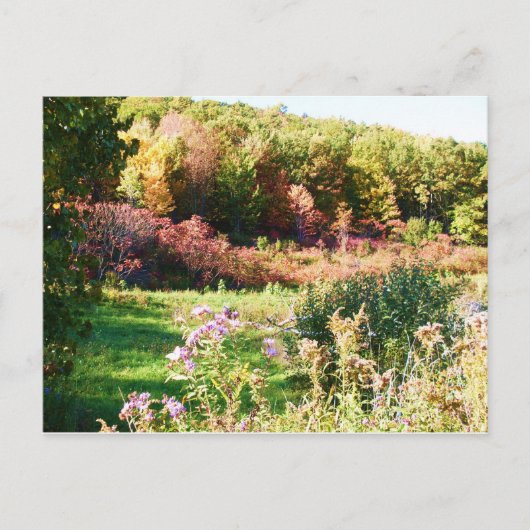 LÄNDLICHER NEW YORK STAAT Postkarte (Vorderseite)
