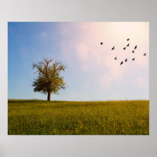 Ländliches Idyll mit Vögeln Poster