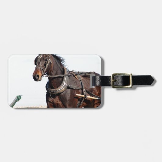 Ländliches Pferd und Buggy Gepäckanhänger (Vorderseite horizontal)