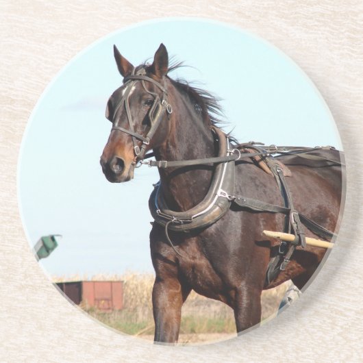 Ländliches Pferd und Buggy Getränkeuntersetzer (Vorne)
