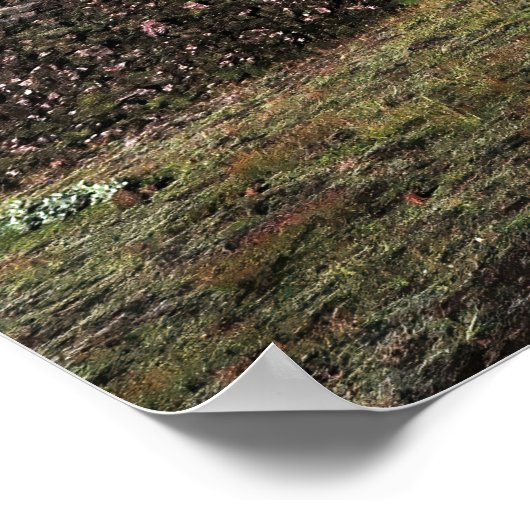 Landmannalaugar Poster (Ecke)