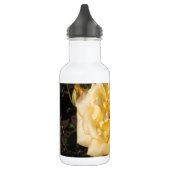 Landora Edelstahlflasche (Links)