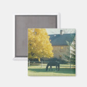 Landpferd - Magnet (Vorderseite/Rückseite)