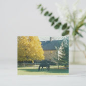 Landpferd - Postkarte (Stehend Vorderseite)
