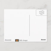Landpferd - Postkarte (Rückseite)