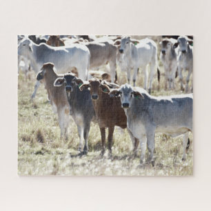 Landrinder Puzzle