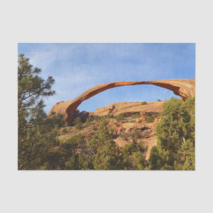 Landscape Arch im Arches National Park Seidenpapier