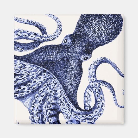 Landscape Blue Octopus Magnet (Vorne)