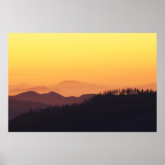 LANDSCAPE FOTO DER WÄLDER WÄHREND DER GOLDENSTUNDE POSTER (Vorne)