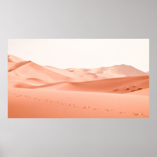 LANDSCAPE-FOTOGRAFIE DES DESSERTS POSTER (Vorne)