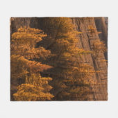 LANDSCAPE FOTOGRAFIE VON BROWNBÄUMEN FLEECEDECKE (Vorderseite (Horizontal))