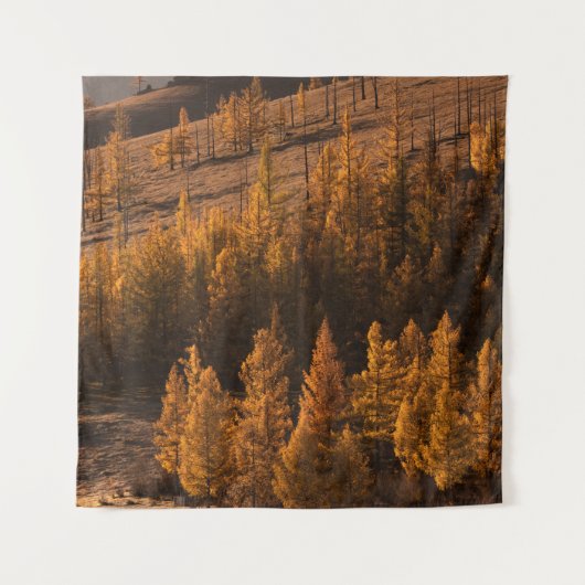 LANDSCAPE FOTOGRAFIE VON BROWNBÄUMEN WANDTEPPICH (Vorderseite)