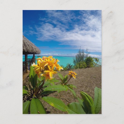 Landscape of bora bora postkarte (Vorderseite)
