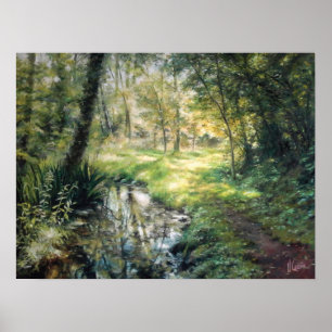 Landscape of nature in a Forest with zu zu river Poster