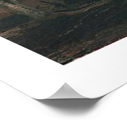 Landscape with Pollard Willows Vincent van Gogh Poster (Ecke)