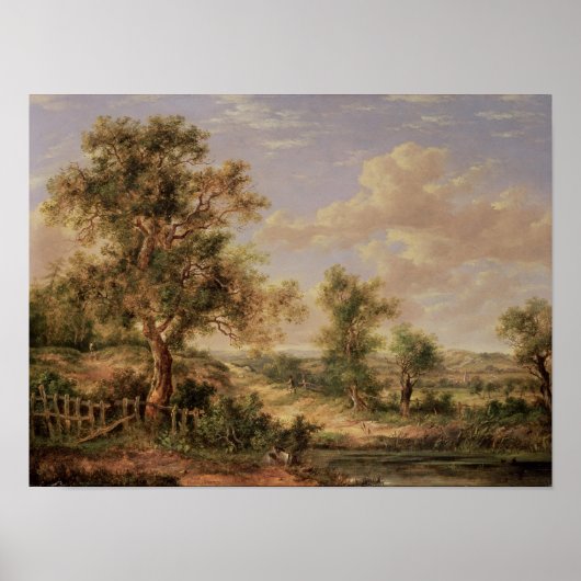 Landschaft, 19. Jahrhundert Poster (Vorne)